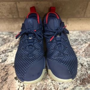 Men’s Lebron Nike shoes, size 10.